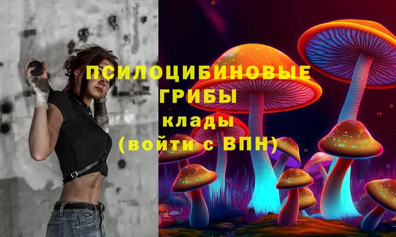 Галлюциногенные грибы Cubensis  MEGA tor  Каспийск 